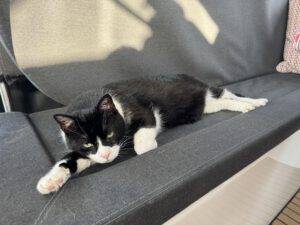 Puh, ganz schön warm hier!