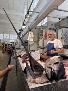 Schwert- und Thunfisch