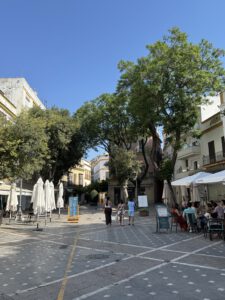 Plaza Plateros