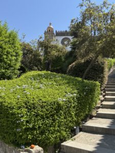 Netter Park