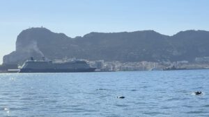 Delfine begleiten uns durch die Bucht