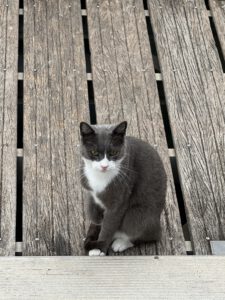 Guten Morgen, ich bin noch da!