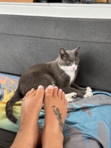 Aber Kuscheln geht, oder?