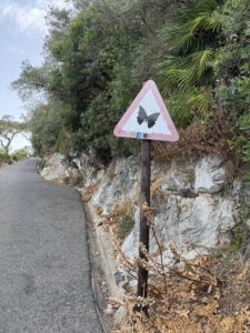 Ja, da muss man vorsichtig fahren