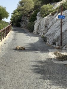 Straßensiesta