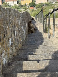 Nee, die Treppe ist besetzt