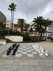 Partie Schach gefällig?