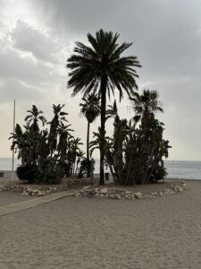 Strandduschoase