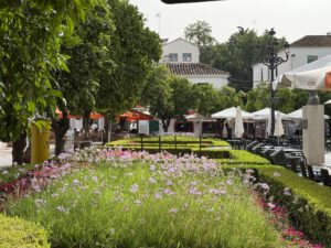 Plaza de los naranjos