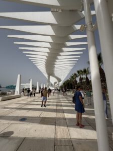 Palmeral de las Sorpresas