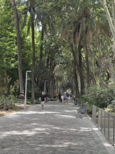 Schattenspenderallee