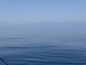 Blau in Blau
