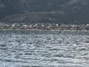Parken am Strand