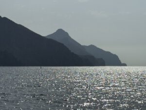 Der Sonne entgegen