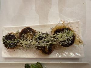 Enten-Canelloni