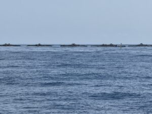 Vorbei an zahlreichen Fischfarmen