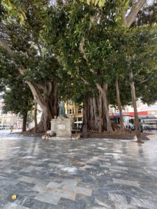 Plaza de San Francisco