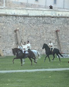 Im Galopp übers Feld
