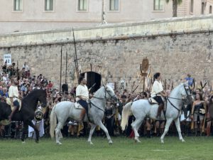 Die Streitrosse
