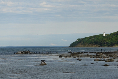 Blick auf den Sund	