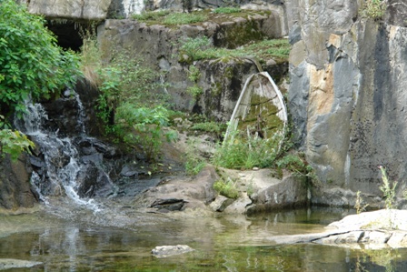 Nette Dekoration im Robbenbecken	